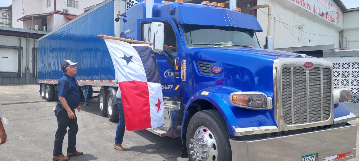 Featured image for “Panamá exporta primer contenedor con 280 cerdos deshuesados a Nicaragua”