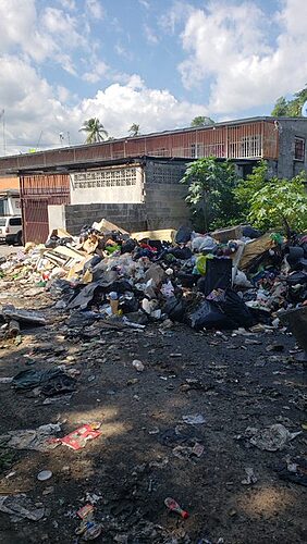 Featured image for “Carrasquilla: «No lo podemos ocultar, hay una crisis de la basura en San Miguelito»”