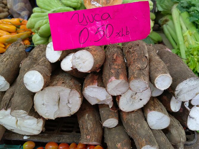 Featured image for “Disminuyen los precios de frutas, tubérculos y verduras en el Merca Panamá”