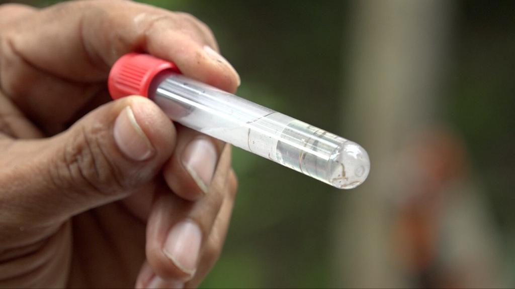 “Colón, Panamá y Bocas del Toro, las regiones de salud con más casos de dengue”