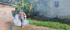 Noticia Radio Panamá | “Colón, Panamá Metro y Bocas del Toro lideran las regiones con más casos de Dengue”