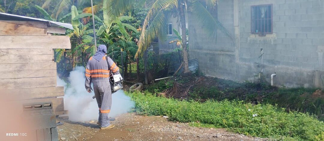 Featured image for “Colón, Panamá Metro y Bocas del Toro lideran las regiones con más casos de Dengue”