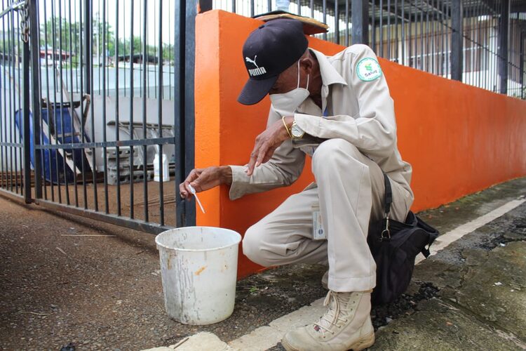 Noticia Radio Panamá | Eliminación de criaderos y limpieza: son claves seguras para contrarrestar los casos de infestación