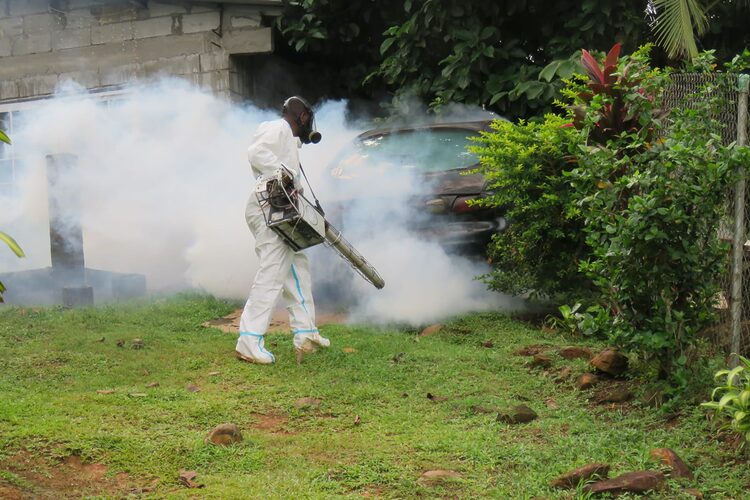 Noticia Radio Panamá | Prevención y eliminar los criaderos de mosquitos: es clave para disminuir enfermedades como dengue y malaria