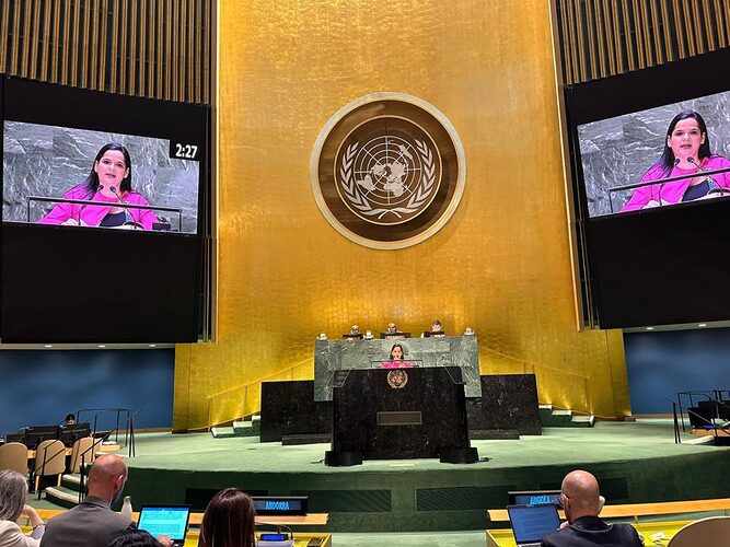 Featured image for “Ministra María Inés Castillo posiciona Plan Colmena como el acelerador de la Agenda 2030 y los ODS en Panamá, ante el Foro Político de las Naciones Unidas”