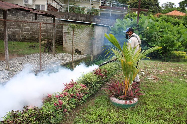 Featured image for “Minsa insta a eliminar criaderos de mosquitos transmisores de enfermedades”