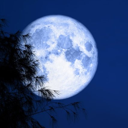 Featured image for “Agosto cerrará con una super Luna azul ¿por qué ese nombre?”