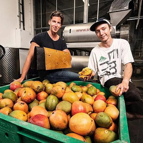 Featured image for “Empresa fabrica cuero a partir de la pulpa del mango”
