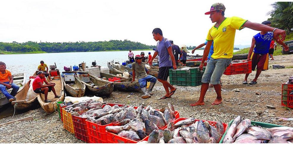 Featured image for “Pescadores organizados rechazan cierres permanentes de calles”