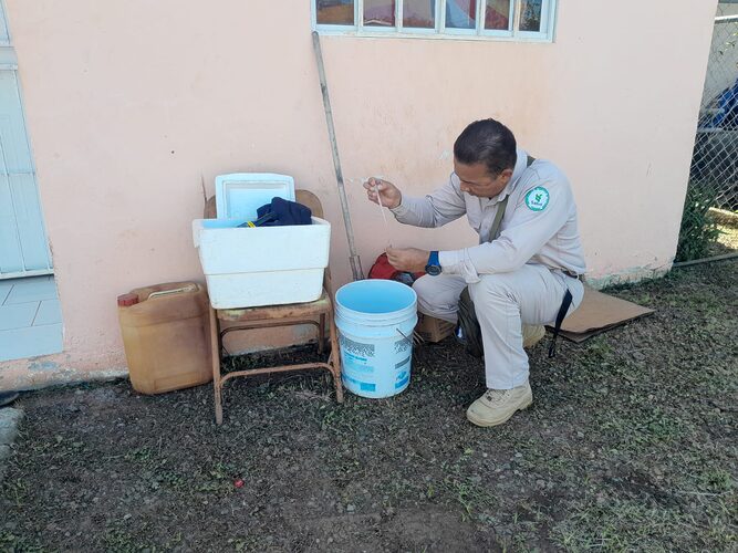 Featured image for “Minsa reporta la segunda muerte por dengue en la región de Los Santos”