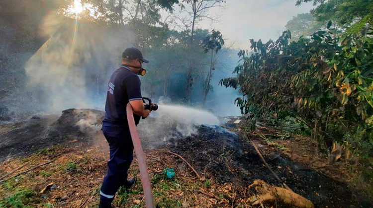 Featured image for “Más de 4,400 quemas de herbazales han atendido los bomberos en lo que va del año”