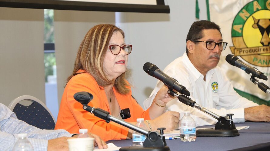 Noticia Radio Panamá | “Turner: En el gobierno de Martín se revisará TPC con EE.UU.”