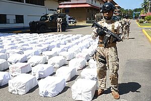 “24 toneladas de droga ha decomisado Panamá en lo que va del año”
