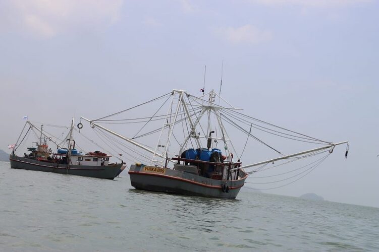 Noticia Radio Panamá | Inicia la temporada de pesca de camarón en Panamá tras culminarse período de veda