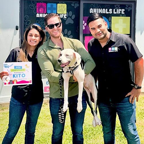 Noticia Radio Panamá | “Mayer Mizrachi y Tina donan 5 mil dólares a veterinaria por salvar aTinakito y otros perros de las calles”