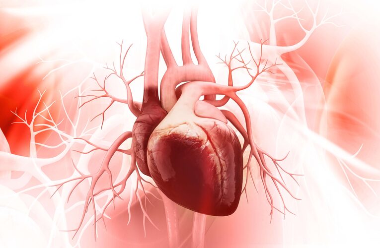 “Entre el 50% y el 75% de los pacientes con falla cardiaca fallecen 5 años tras su diagnóstico”