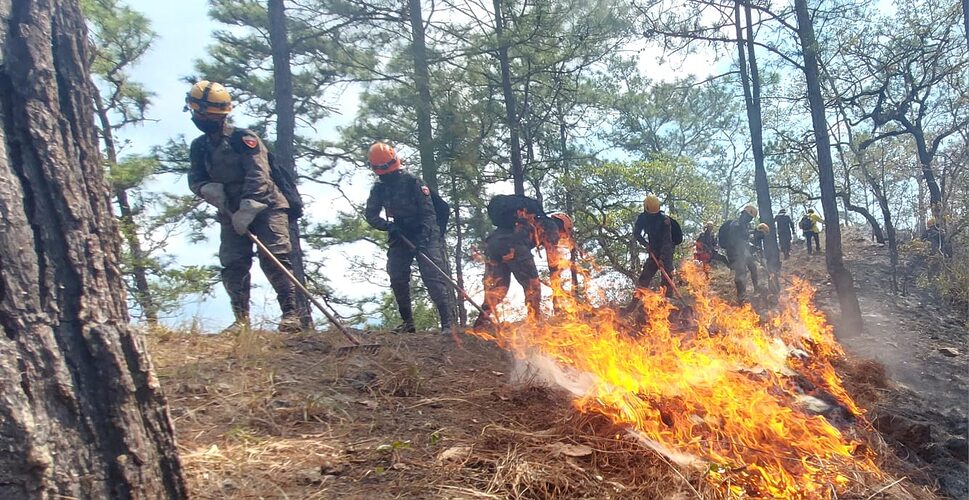 “Ejército de Guatemala continúa apoyando las tareas de supresión de incendios forestales”
