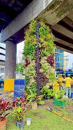 Noticia Radio Panamá | Apuestan por un Panamá verde, instalan jardín municipal vertical