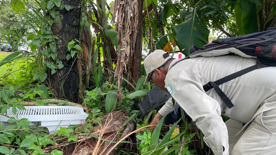 Noticia Radio Panamá | MINSA continua los operativos contra el Dengue Chiriquí