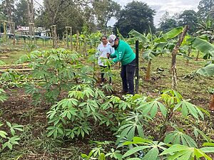 “Personal del MIDA de Chiriquí intensifica trabajos en la feria de La Candelaria”