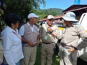 “Minsa reitera a la población medidas de prevención para reducir criaderos de mosquitos”