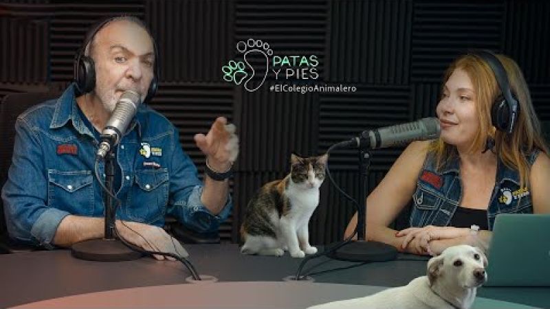PATAS Y PIES  26 ABRIL 2026, PATICIERO noticias animaleros locales e internacionales.