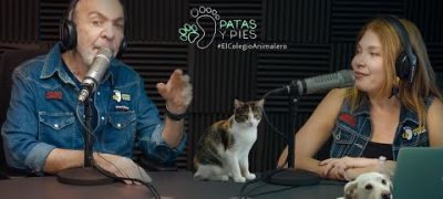 PATAS Y PIES 3 Mayo 2026, PATICIERO noticias animaleros locales e internacionales.