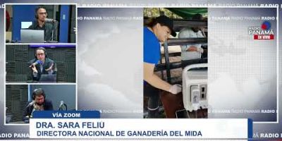 MIDA apuesta por la genética para impulsar la ganadería nacional